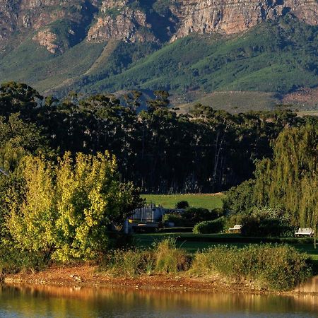 Dawn Mountains Farm Apartamento Simondium Exterior foto
